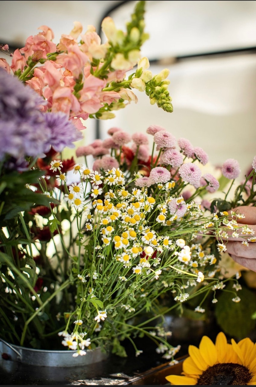 Pink roses and peonies in a lush arrangement